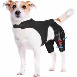 Adjustable‎ Dog Knee Brace for Back Leg Injuries – ACL/CCL Support, Size Small